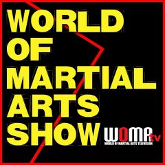 World of Martial Arts