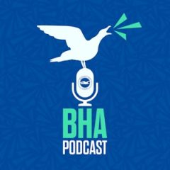 The Official Brighton & Hove Albion Podcast